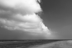 texel-sw