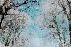 waterbaum-color