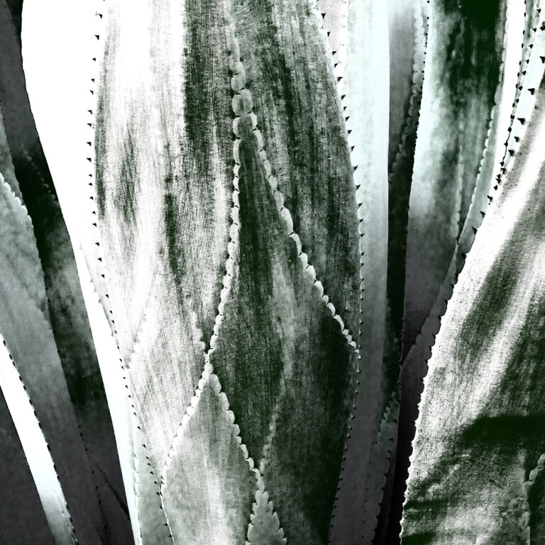 nature1