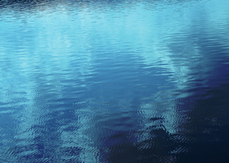 nature6